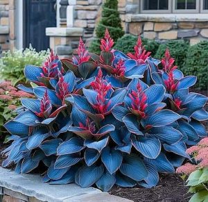 Хоста Грин Фог купить по цене от 669р. в интернет-магазине «Посадика» с доставкой почтой в в Черногорске и по всей России – [изображение №1].